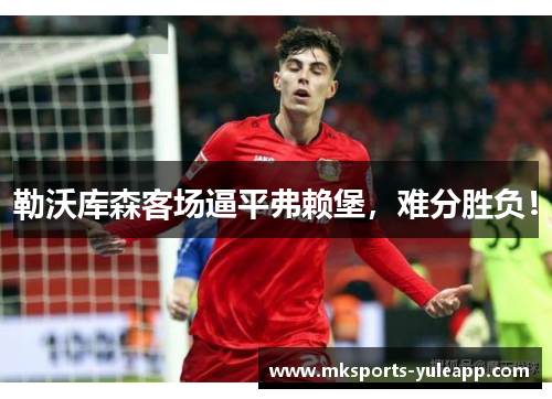 勒沃库森客场逼平弗赖堡，难分胜负！